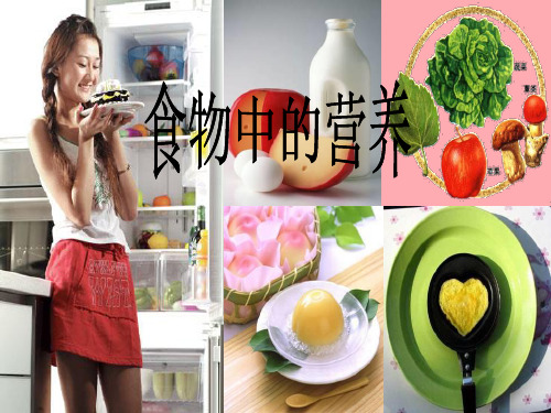 六年级科学上册2.1食物中的营养课件1湘教版124