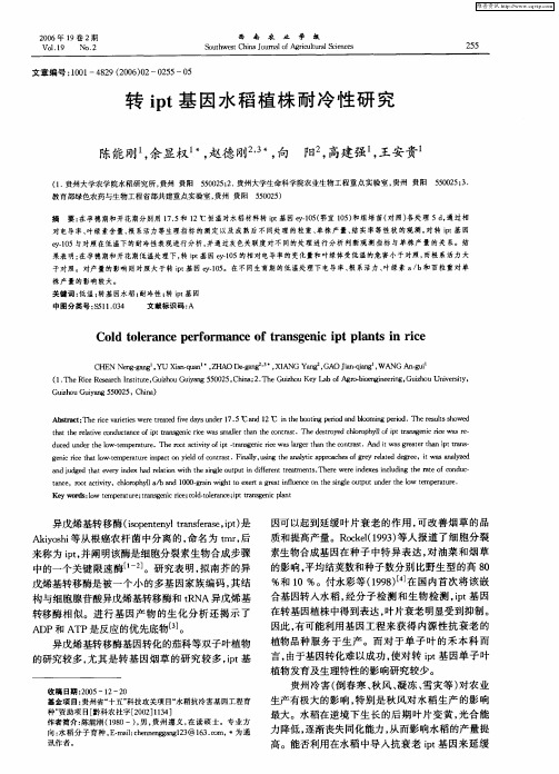 转ipt基因水稻植株耐冷性研究