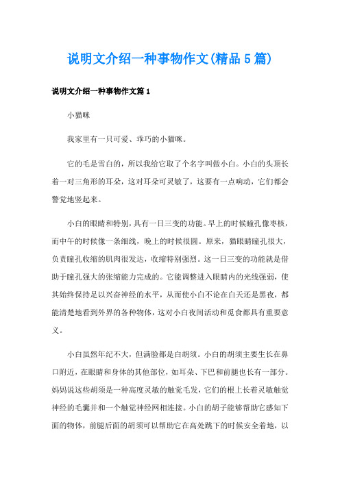 说明文介绍一种事物作文(精品5篇)