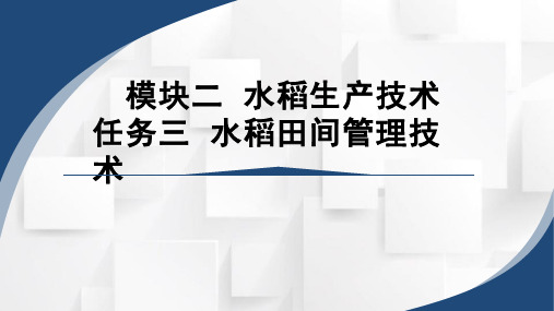 《作物生产技术》课程教学课件-2.3.1水稻田间管理技术 课件