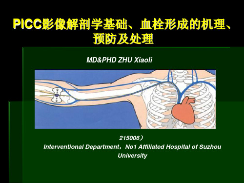 PICC置管影像解剖学基础血栓形成机理、预防与处理