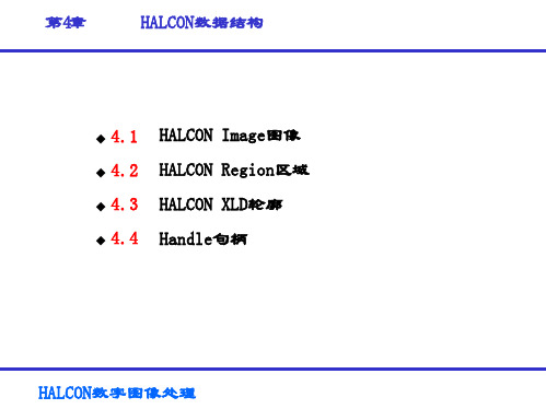 HALCON数字图像处理-第4章 HALCON数据结构