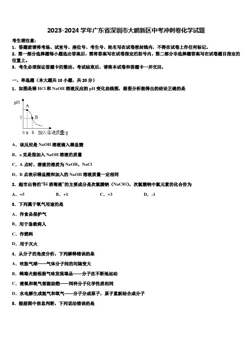 2023-2024学年广东省深圳市大鹏新区中考冲刺卷化学试题含解析