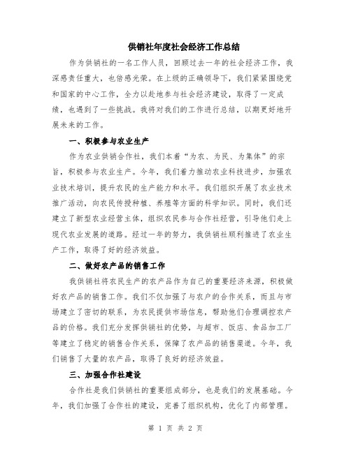 供销社年度社会经济工作总结