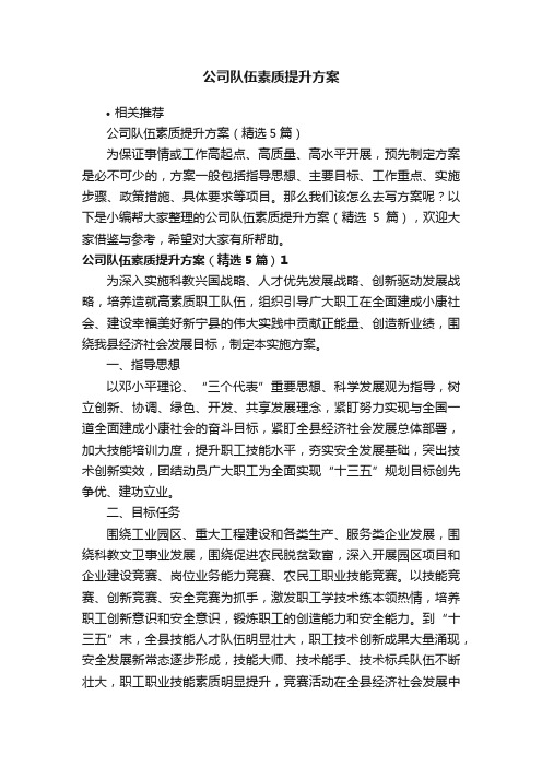 公司队伍素质提升方案