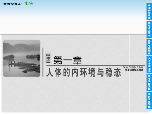 高考生物一轮复习 第一章 人体的内环境和稳态配套课件
