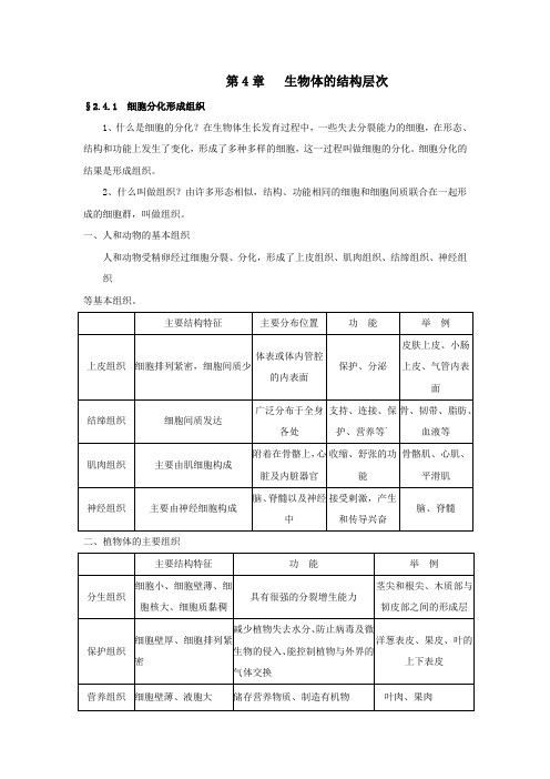 中考生物知识点总结：《生物体的结构层次》(北师大版七年级上册)