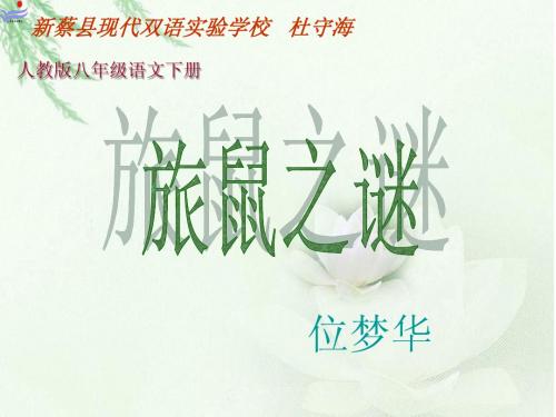 《旅鼠之谜》课件_[1有效]