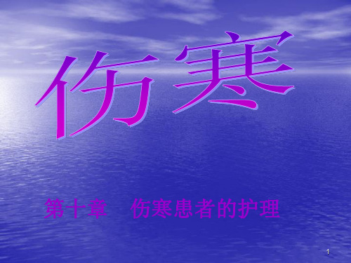伤寒患者的护理ppt课件