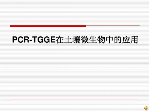 PCR-TGGE在土壤微生物中的应用