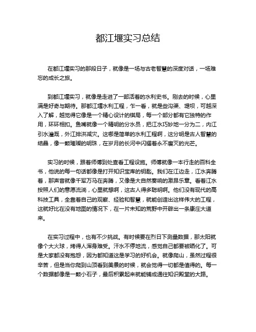 都江堰实习总结