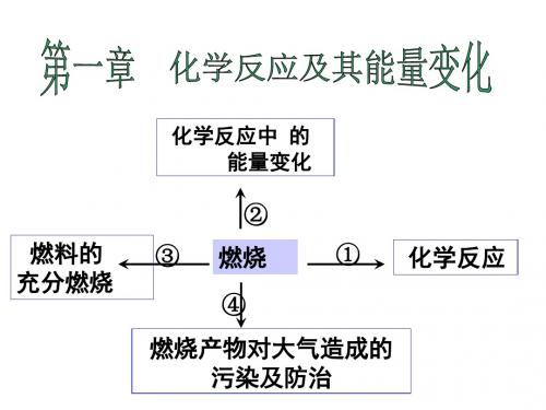 高一化学化学反应及其能量变化(1)