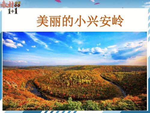 部编小学三年级上册《六单元20 美丽的小兴安岭》李兴红PPT课件 一等奖新名师优质公开课获奖比赛人教版