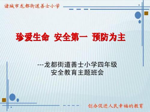 小学安全教育主题班会课件