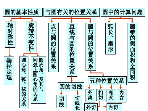 期中复习圆[下学期]--华师大版(201911)