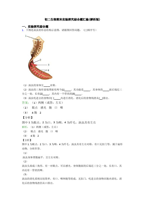 初二生物期末实验探究综合题汇编(解析版)