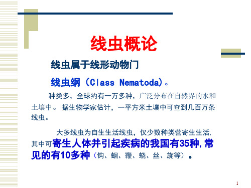 051 线虫概论