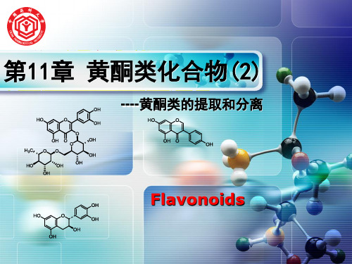 天然药物化学教学课件-11-2