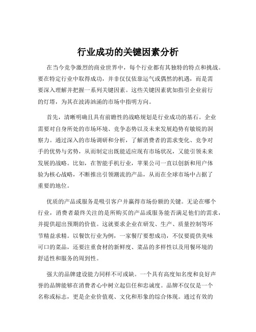 行业成功的关键因素分析