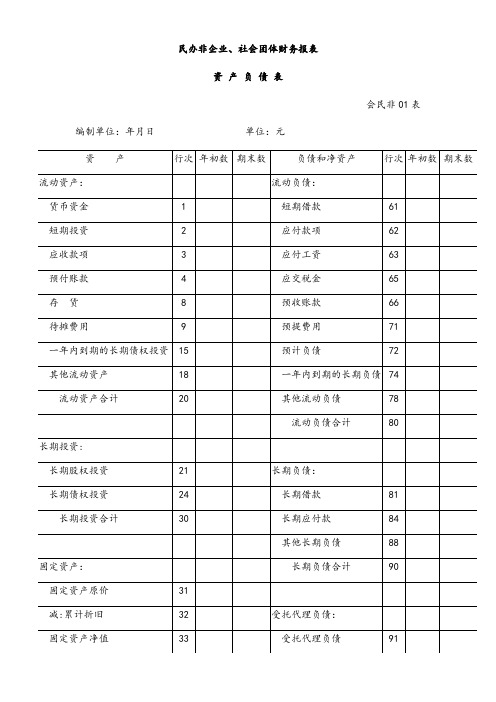 社会团体财务报表