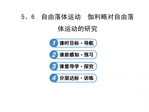 高一物理必修一人教版2.5、6自由落体运动  伽利略对自由落体运动的研究