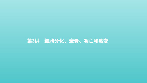 2021版高考生物一轮复习第4单元细胞增殖分化衰老和凋亡第3讲细胞分化衰老凋亡和癌变课件苏教版必修