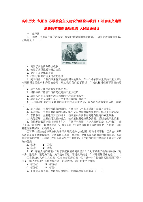 高中历史专题七苏联社会主义建设的经验与教训1社会主义建设道路的初期探课后训练人民版必修2