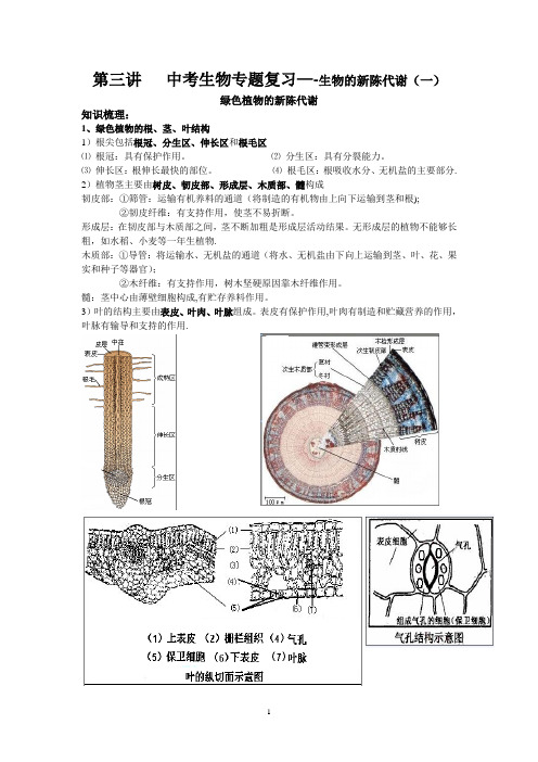 中考生物专题复习生物的新陈代谢(一)--绿色植物的新陈代谢(学生)