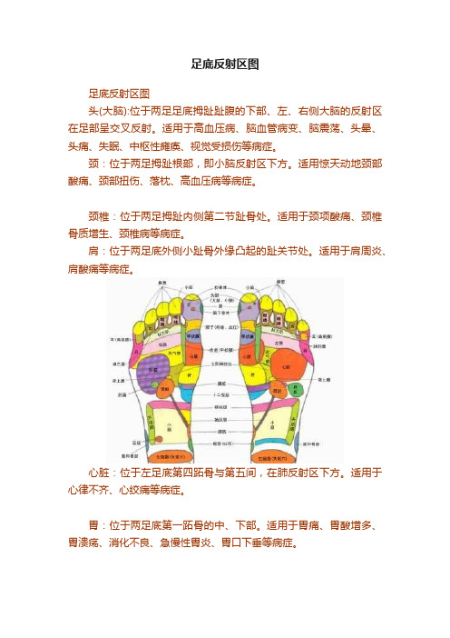 足底反射区图