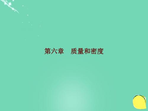 广东省中考物理第六章质量和密度复习课件新人教版
