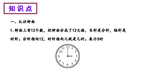 苏教版二年级数学下册知识清单时、分、秒