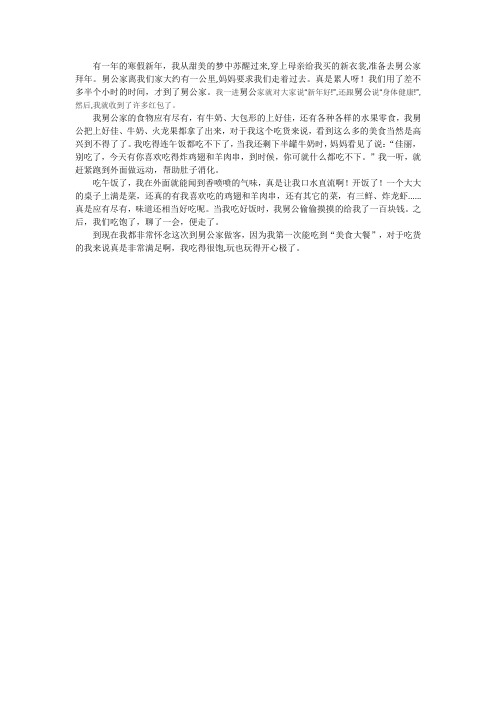 我的快乐寒假作文500字写到去舅公家拜年