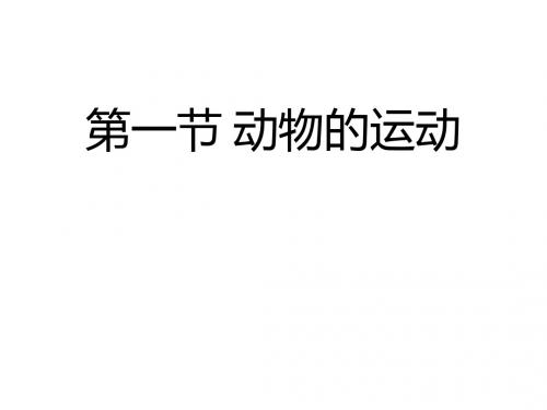 人教版八年级生物上册课件：5.2.1动物的运动(共28张PPT)