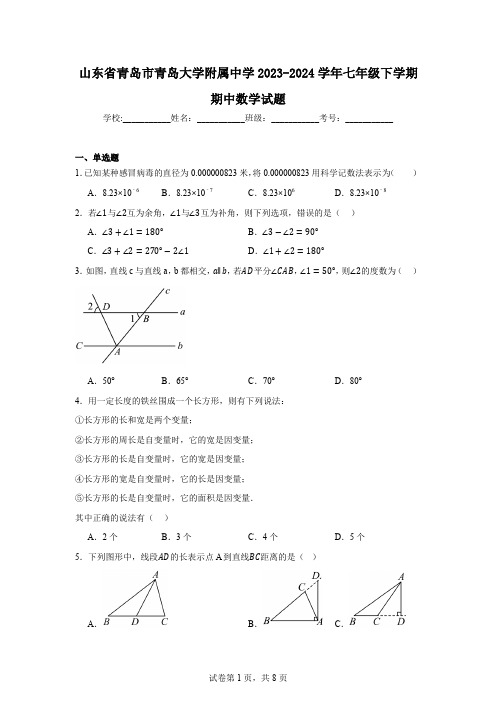 山东省青岛市青岛大学附属中学2023-2024学年七年级下学期期中数学试题