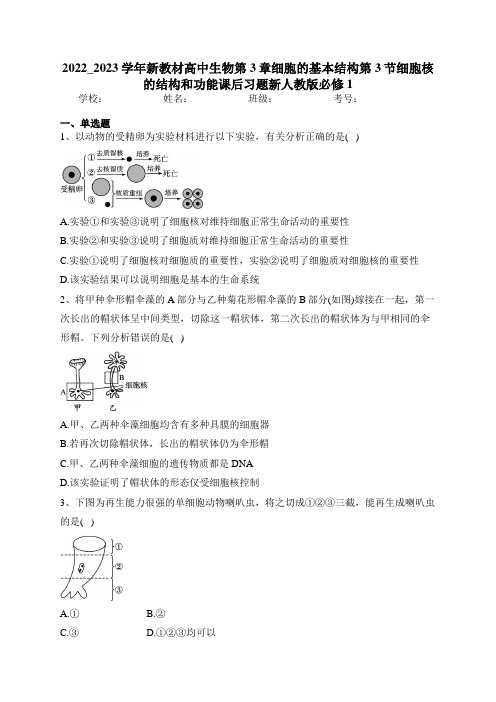 2022_2023学年新教材高中生物第3章细胞的基本结构第3节细胞核的结构和功能课后习题新人教版必修