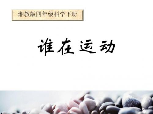 《谁在运动》精品教学PPT