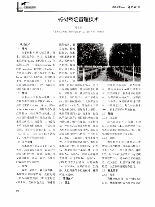 杨树栽培管理技术