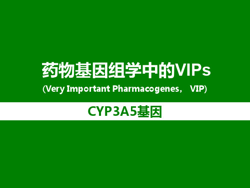 药物基因组学中的VIPs之CYP3A5基因介绍