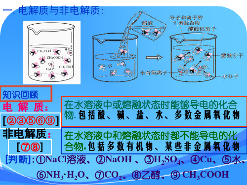 高二化学《弱电解质的电离》课件