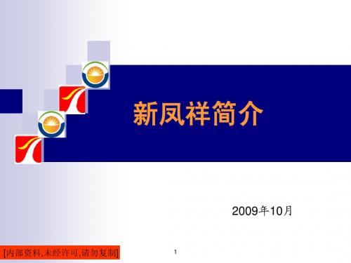 XinFengXiang Company Profile200909(框架稿)