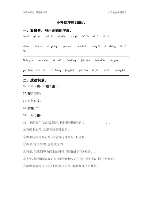 小升初冲刺训练八