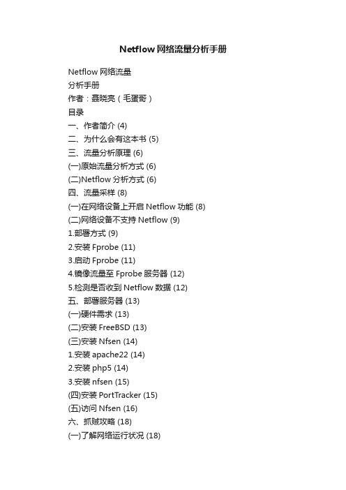 Netflow网络流量分析手册