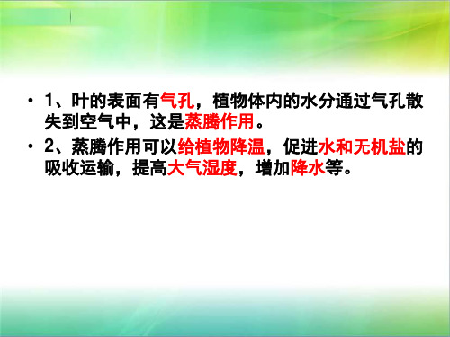 青岛版五四制小学科学新三年级上册科学植物的花课件