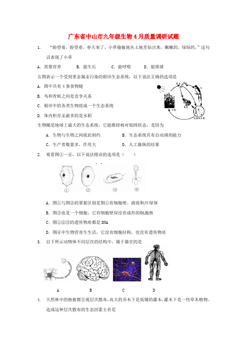 九年级生物4月质量调研试题