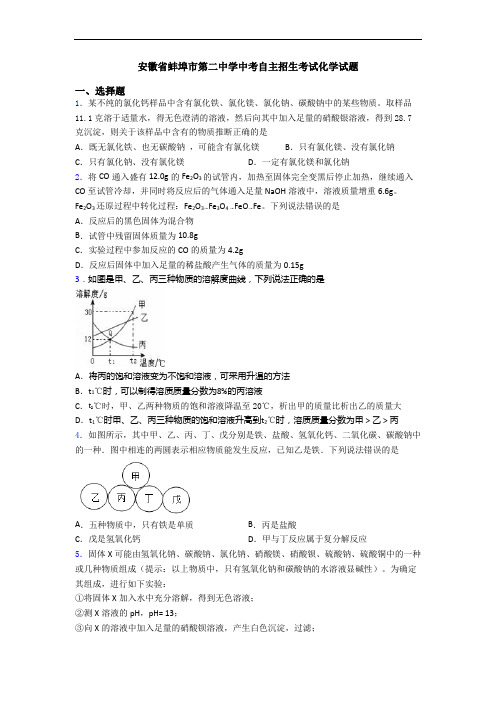 安徽省蚌埠市第二中学中考自主招生考试化学试题