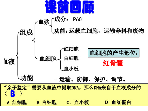 《血流的管道—血管》课件PPT幻灯片