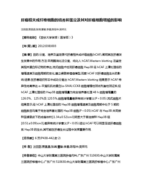 肝癌相关成纤维细胞的培养和鉴定及其对肝癌细胞增殖的影响