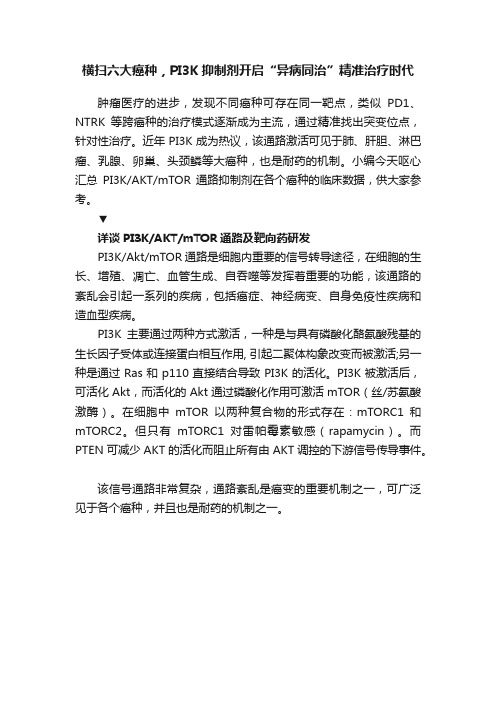 横扫六大癌种，PI3K抑制剂开启“异病同治”精准治疗时代