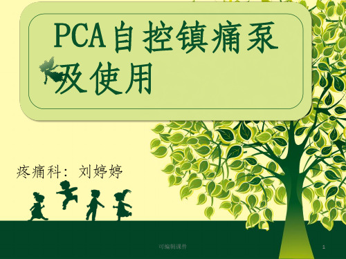 镇痛泵(PCA泵)及使用 刘ppt课件