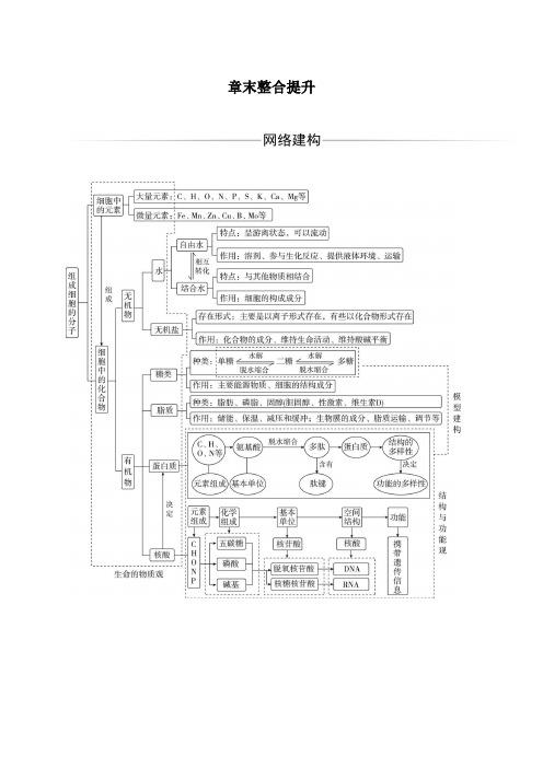 高中生物学必修1 第2章 章末整合提升